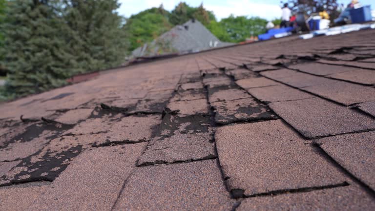 Best Roof Maintenance and Cleaning  in Lawnside, NJ